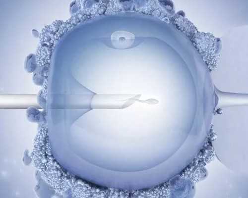 找中介邮寄去香港验血要多少天,香港验血男女报告单怎么看准不准,详细的步骤