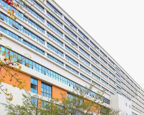 液压泵的品牌_盐酸西替利嗪抗组胺，缓解荨麻疹瘙痒不适！