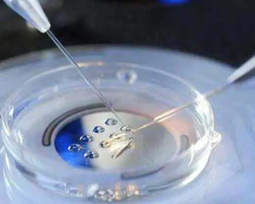 香港验血后打掉了多久可以怀孕又验_香港验血有14个d_邮寄验血查男女准不准