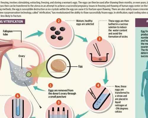 香港验血检查 几周_香港验血测男女什么时候可以验,验血翻盘女翻男吗