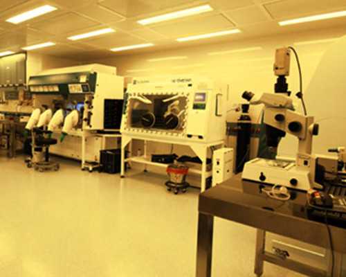 香港验血是女儿会不会不准,双胞胎是怎么样形成的呢?备孕妈妈又如何更好的怀