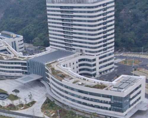 怀孕8周还能香港验血_香港7周验血多久出报告准不准,需要提前几天预约