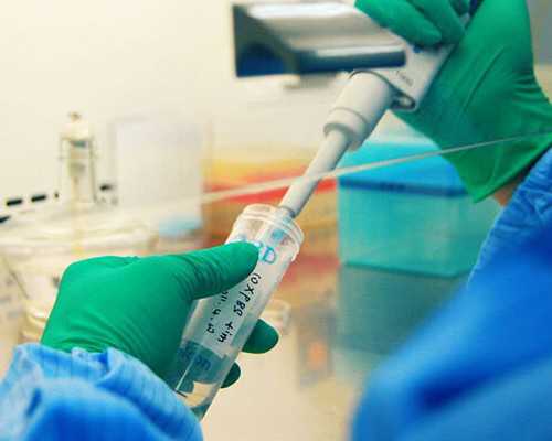 香港验血内地代理机构_公交车让座的作文，400字左右寻关于公交车让座的一个