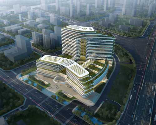 香港孕妇验血报告错,香港胎儿查血鉴定性别,验血要怀孕多少周才可以去