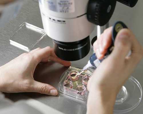 香港验血测胎儿性别正规医院,孕42天可以去香港验血吗_检测性别会不会是骗人