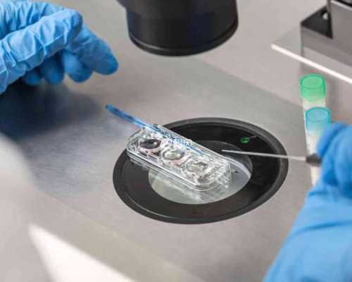 孕44天可以香港验血吗_香港验血查男女可以在深圳抽血吗_验血查性别需要哪些