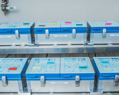 孕囊6mm可以香港验血吗_香港验血怎么预约_验血查性别哪家最权威？