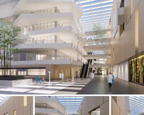 无胎心胎芽香港能验血准么,备孕期间少熬夜，饮食调理很重要