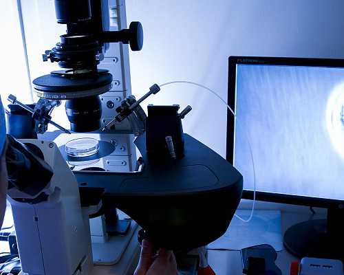 香港验血最大最正规机构_世上的姑娘总以为自己是骄傲的公主（除了少数极丑