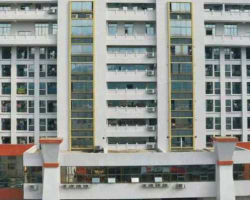 香港验血网址验证_香港母血查性别准吗_需要达到什么条件或者是要求!