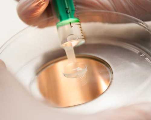 鱼缸水泵杨程什么意思_西葫芦炒金枪鱼