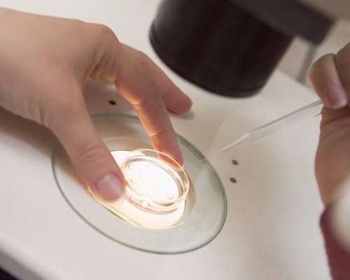 中国水泵十大名牌排名_清补是夏季养生的最佳方式