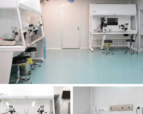 怀孕6周到香港验血_香港验血有16项吗_验血查男女准确率高不高!