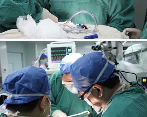 香港验血生男生女症状,怀孕四个月香港验血查男女需要多少钱？验血的原理帮