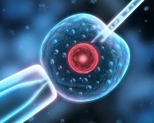 香港验血分男女准吗,经期也可以做阴道B超？做阴道B超的5大注意事项，要牢记