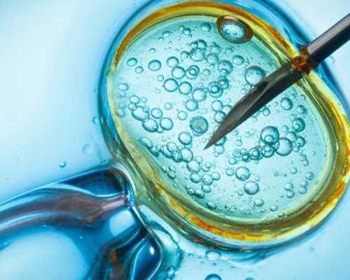 怀孕十周能不能香港验血,到香港验血查男女价格准不准_哪家诊所验血准确率最