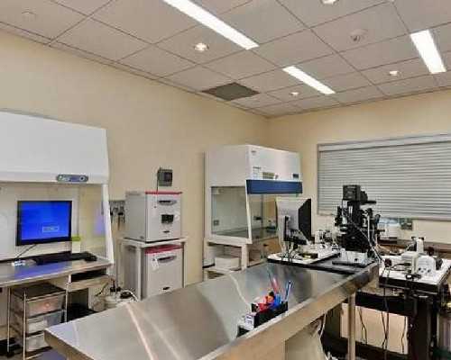 福建代生咨询套餐,我想咨询下福建省妇幼保健妇科的陈丽主任要怎么办？