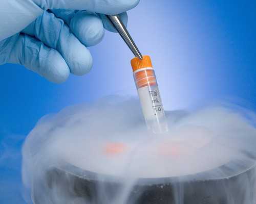 离心泵的主要性能参数拥有,甘愿与世界为敌只为你开心的星座