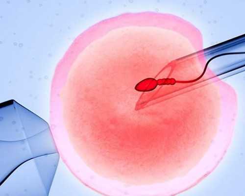 香港验血性别结果怎么看,怀孕多久可以在香港查性别_大概需要多少钱!