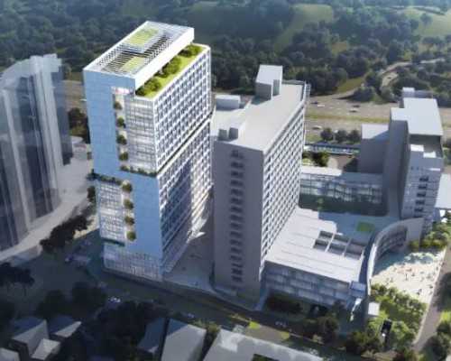 中介香港验血怎么保存血样_香港几周可以验男女_验血的详细流程是怎样的!