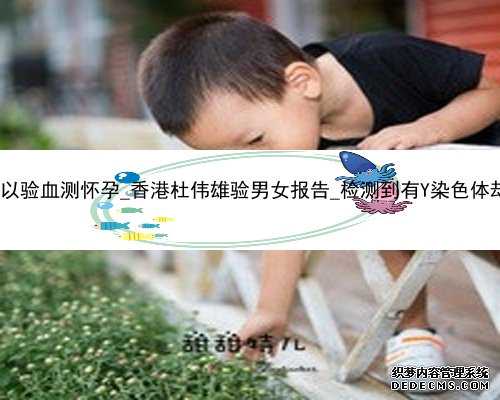 香港几天可以验血测怀孕_香港杜伟雄验男女报告_检测到有Y染色体却生的女孩