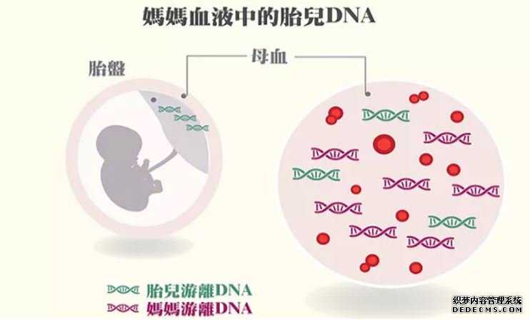 香港验血查染色体多少天_快速的验血检测中心权威机构