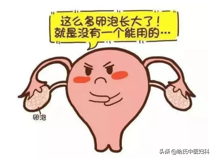 香港验血试管打开了盖验的准吗,备孕两年未孕，心态崩了！月经不正常的女性