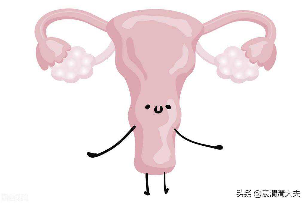怀孕香港验血知男女到底准不准,单角子宫试管成功率高吗？