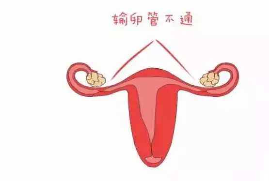怀孕36天香港可以验血写,说说我们夫妻的试管婴儿之路，女人不能自然怀孕她的